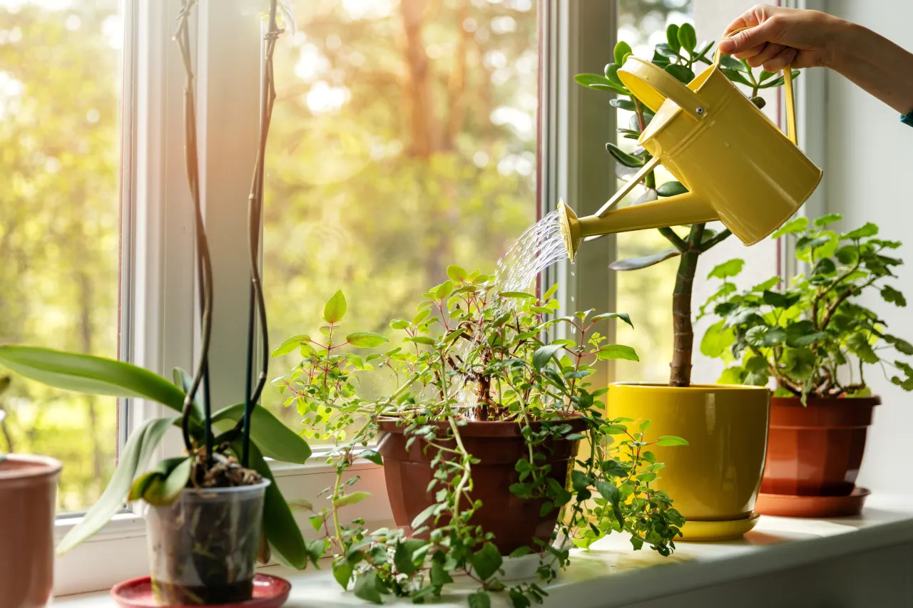 Image licensed via Adobe Stock