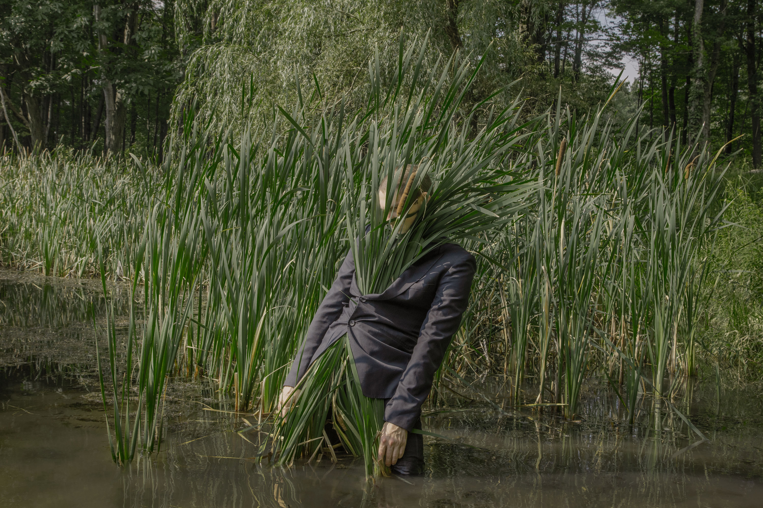 © Ben Zank