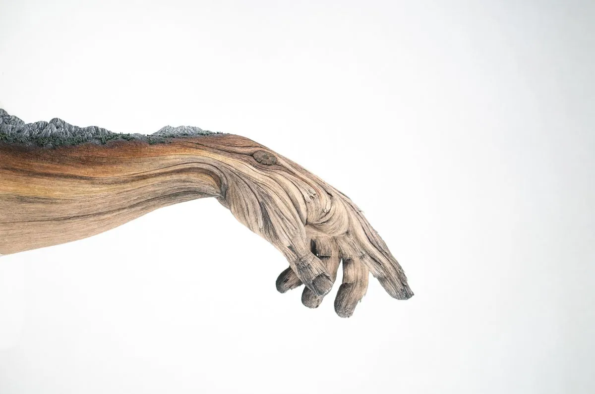 Within Arm's Reach | Christopher David White