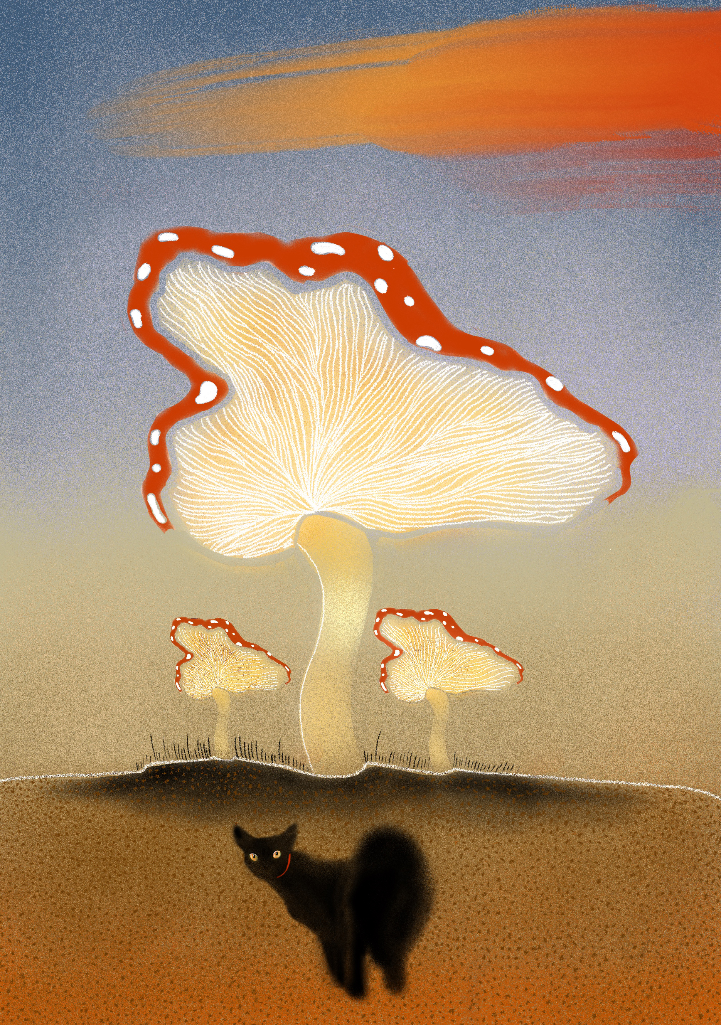 Von Katzen und Pilzen © Andreína Vallés