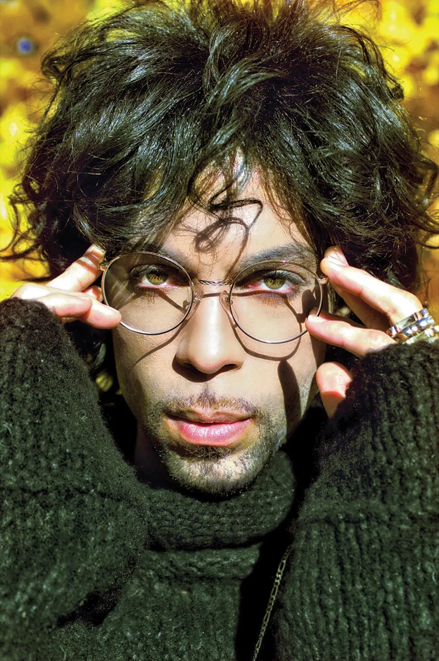 A Room Full of Glasses, Chanhassen Arboretum, 1999 © Steven Parke