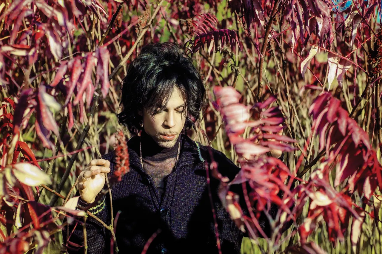 Unttled, Paisley Park Studios, 1999 © Steven Parke