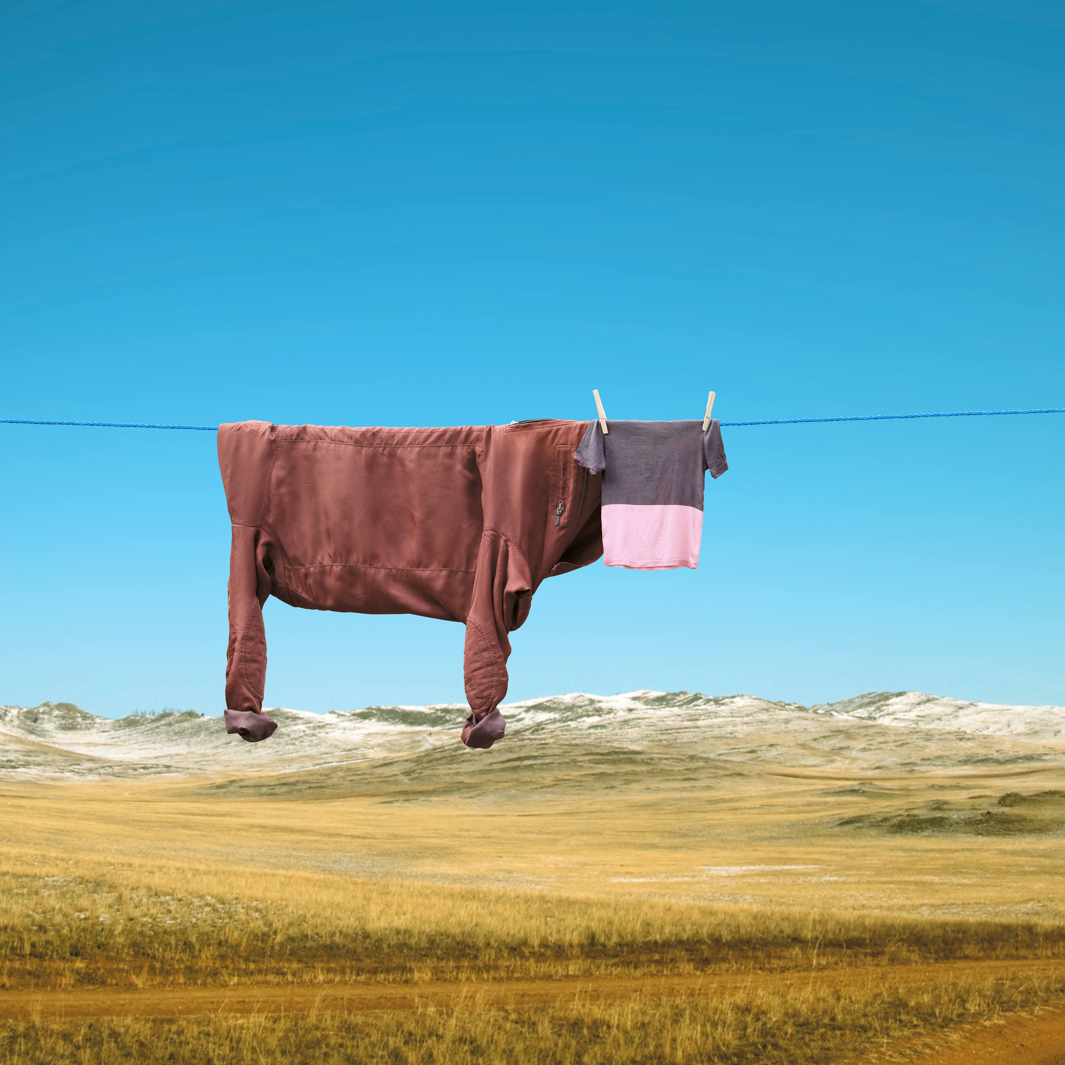 Smoothie © Helga Stentzel