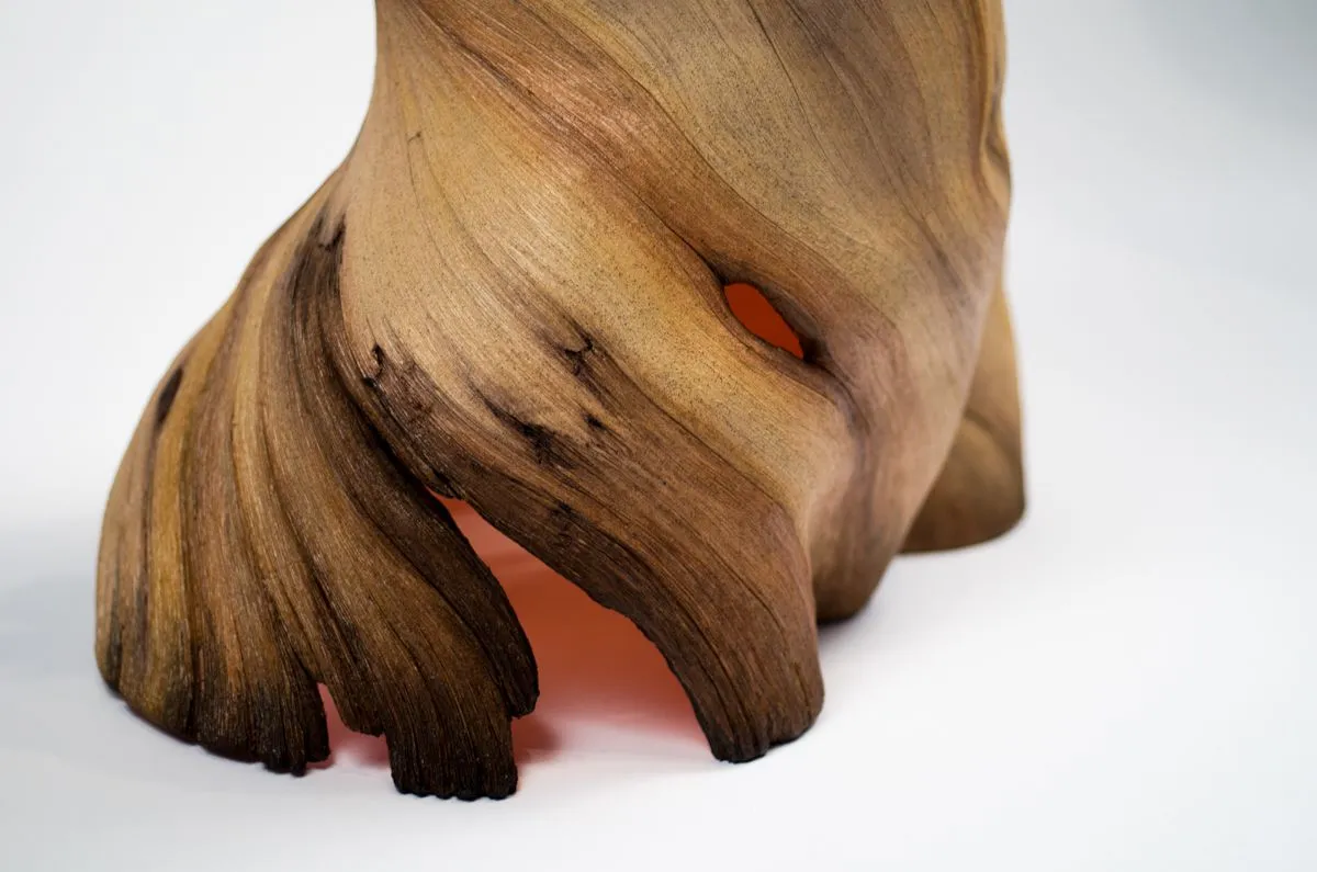 Burning from Within | Christopher David White
