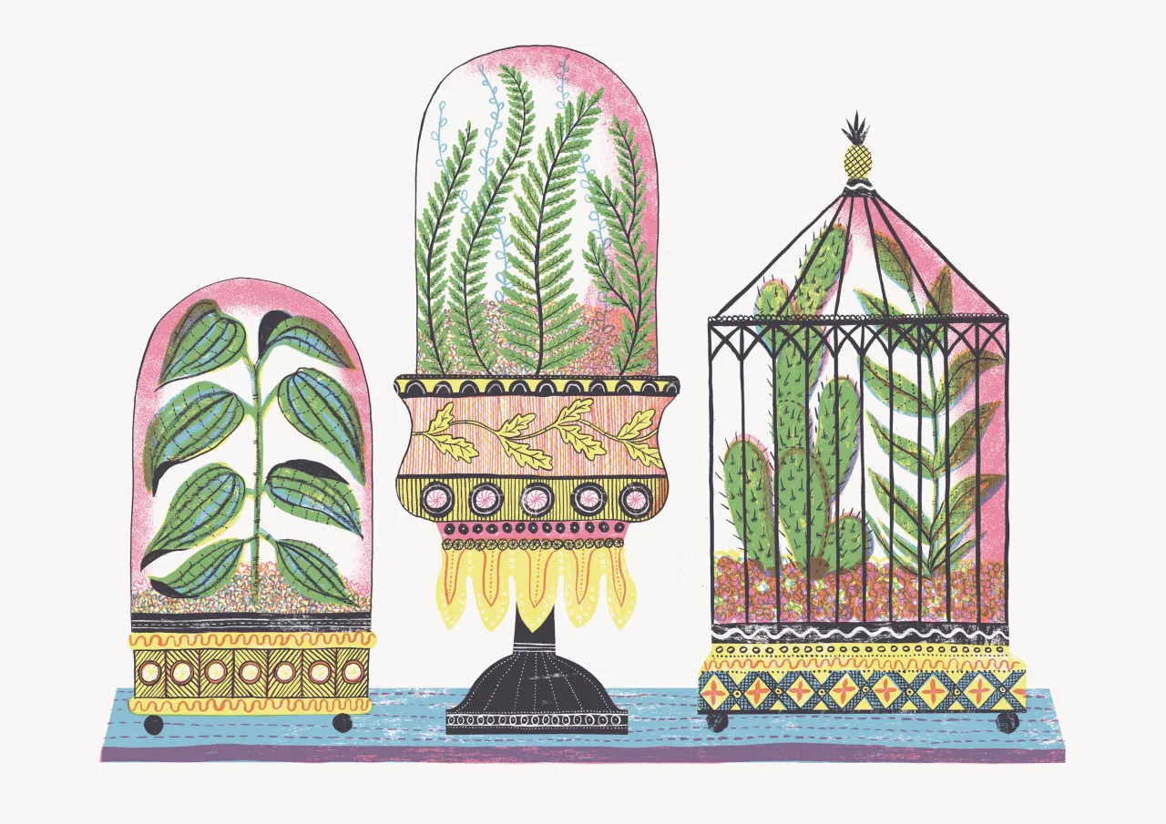 Alice Pattullo Wardian Cases, 2016 Courtesy the artist