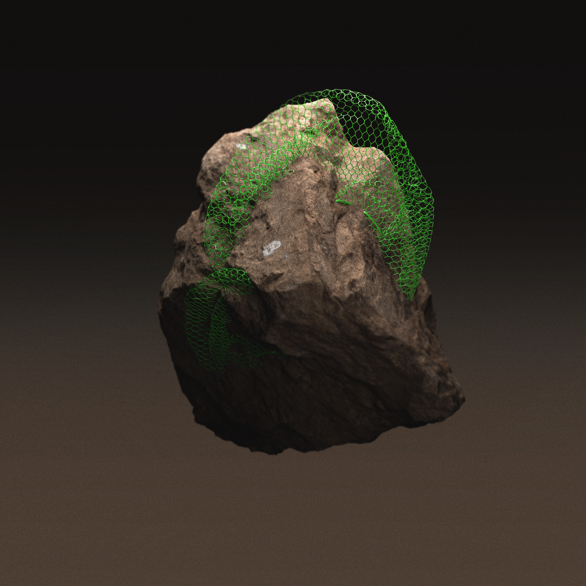 Future Fossils work, sandstone