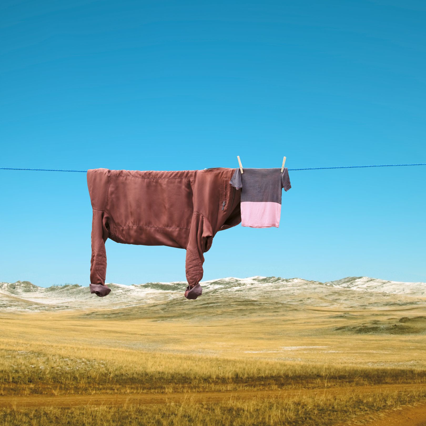 Smoothie © Helga Stentzel