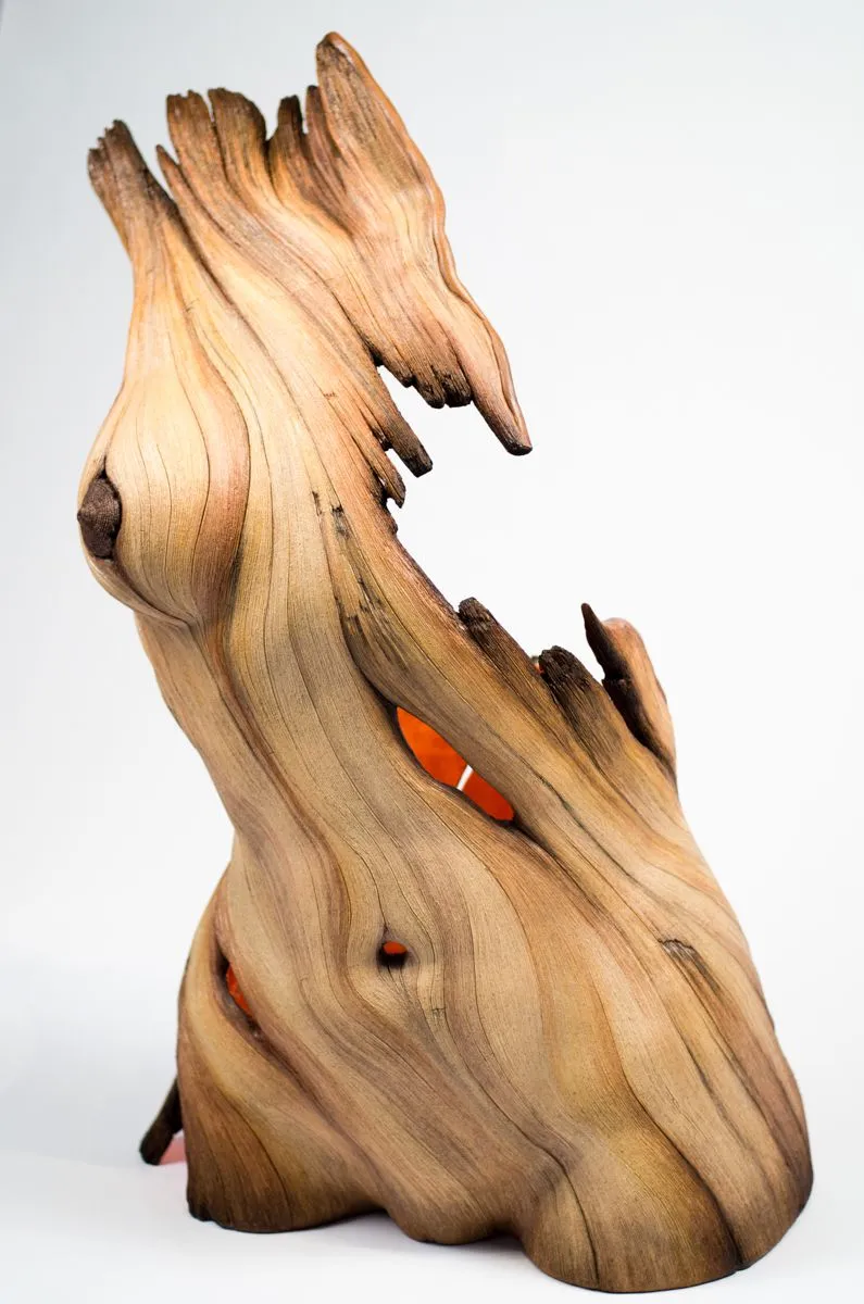 Burning from Within | Christopher David White