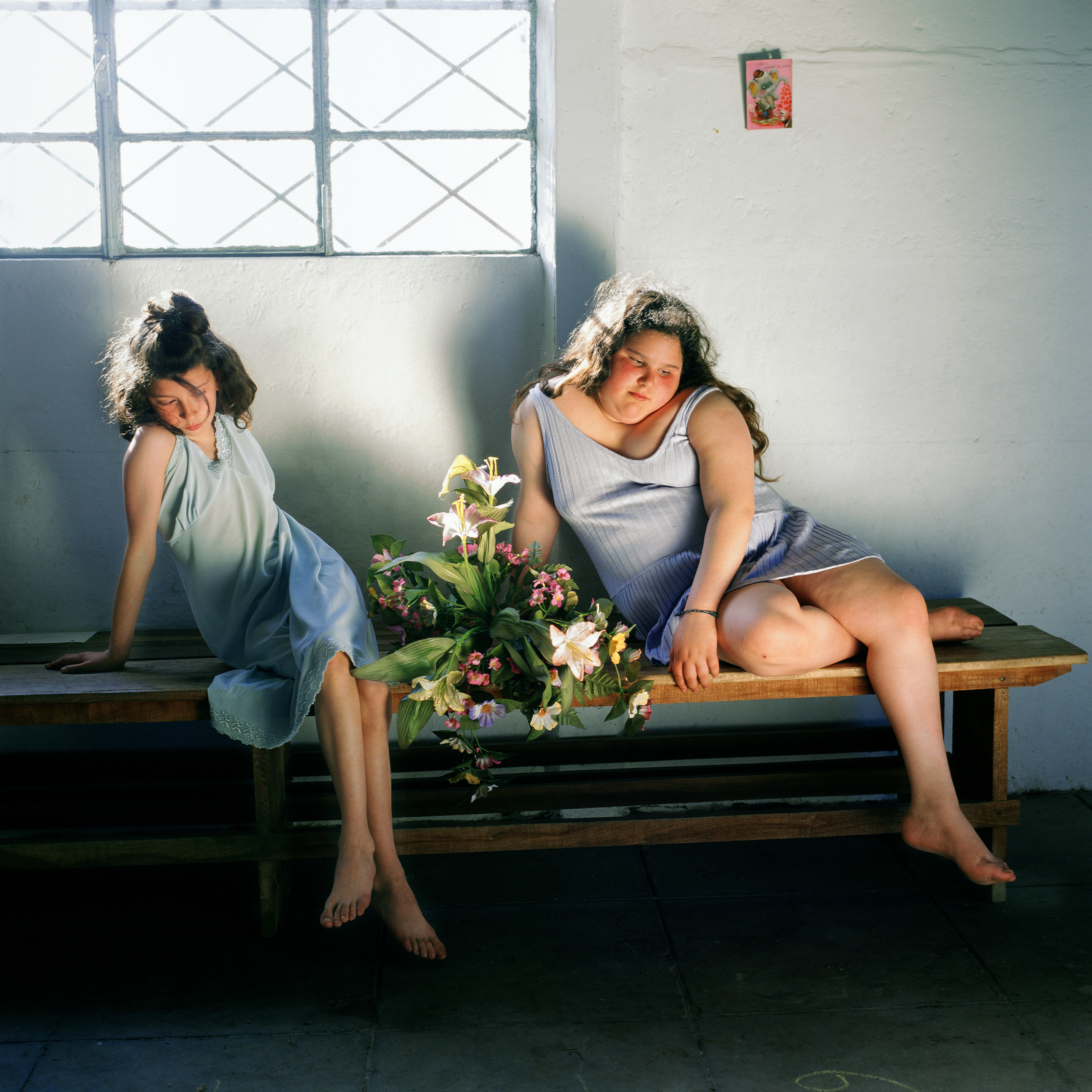 © Alessandra Sanguinetti