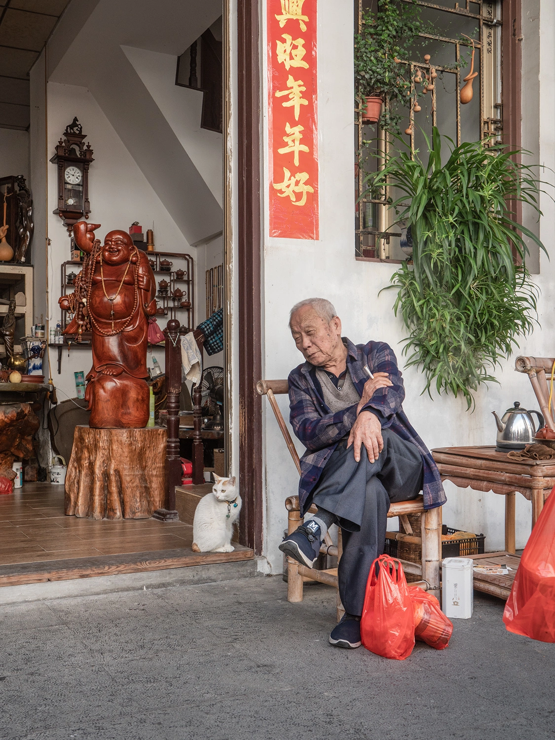 From the series, Shop Cats of China © Marcel Heijnen