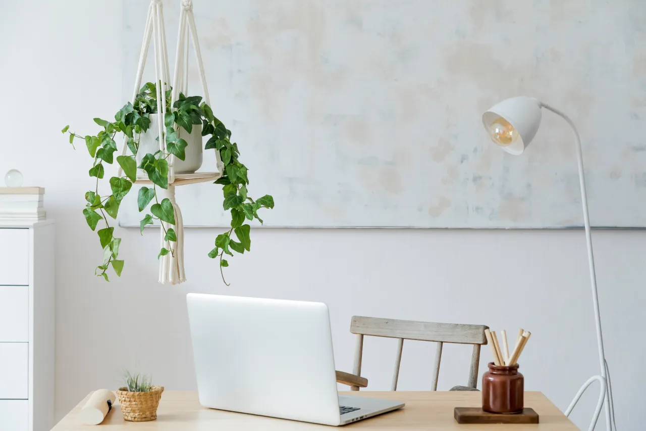 Image licensed via Adobe Stock