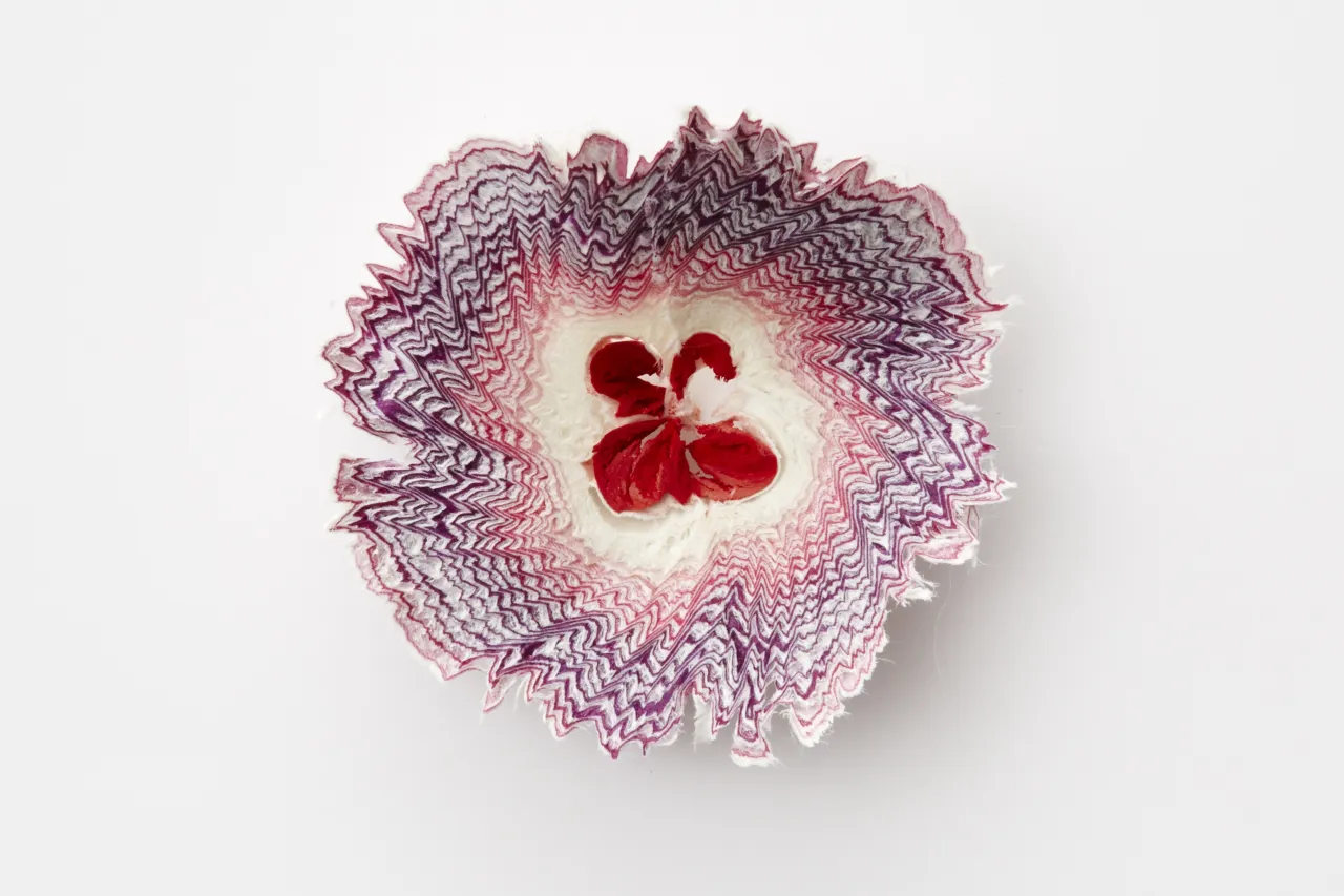 Paper Flower by MISAWA Haruka. Photography by Amana Group