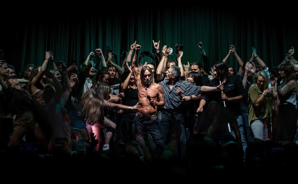 Iggy Pop by Antoine Veling