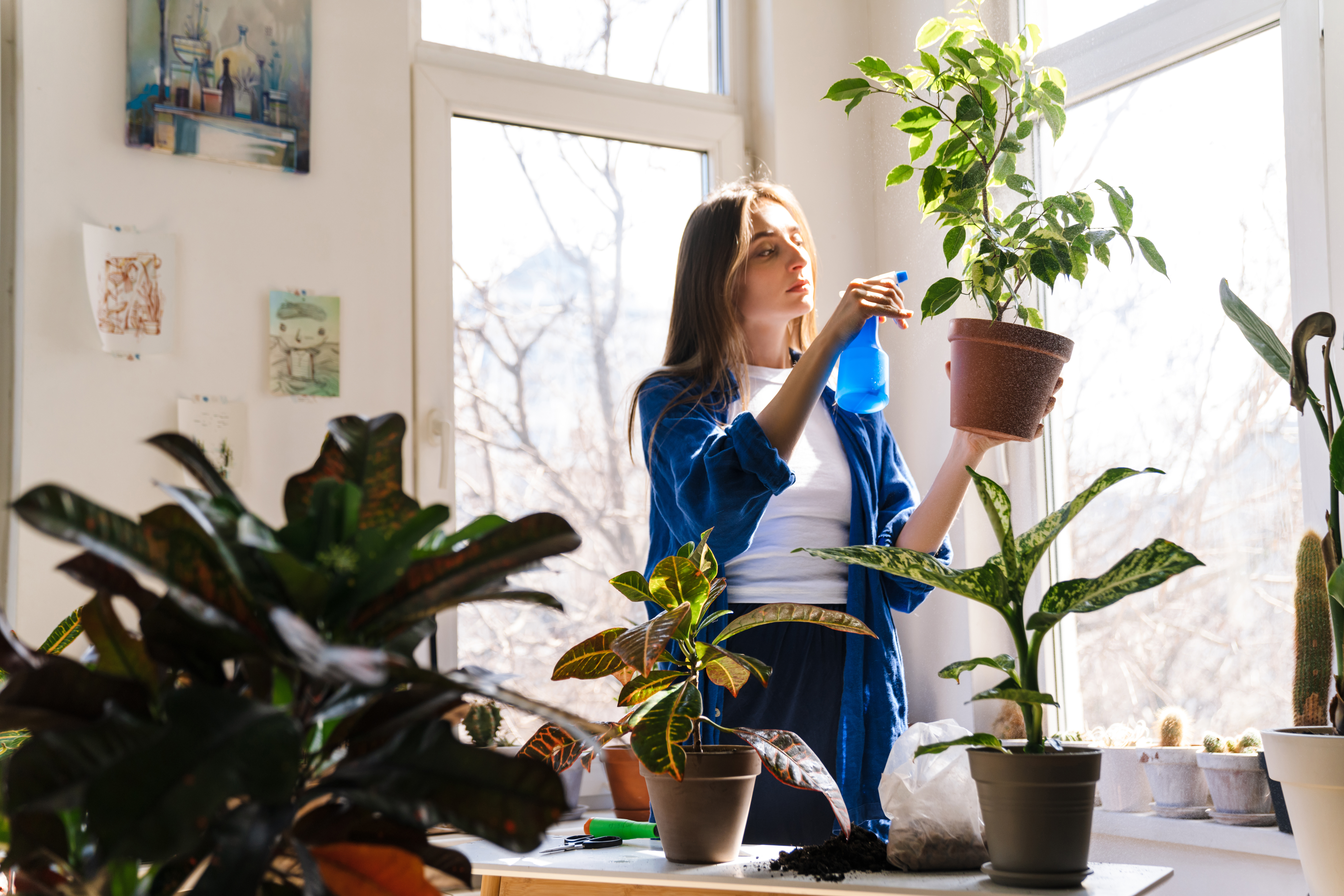 Image licensed via Adobe Stock