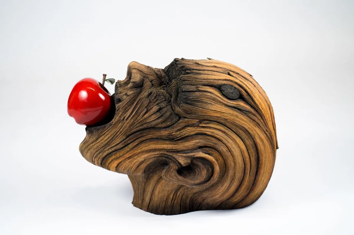 An Apple a Day | Christopher David White