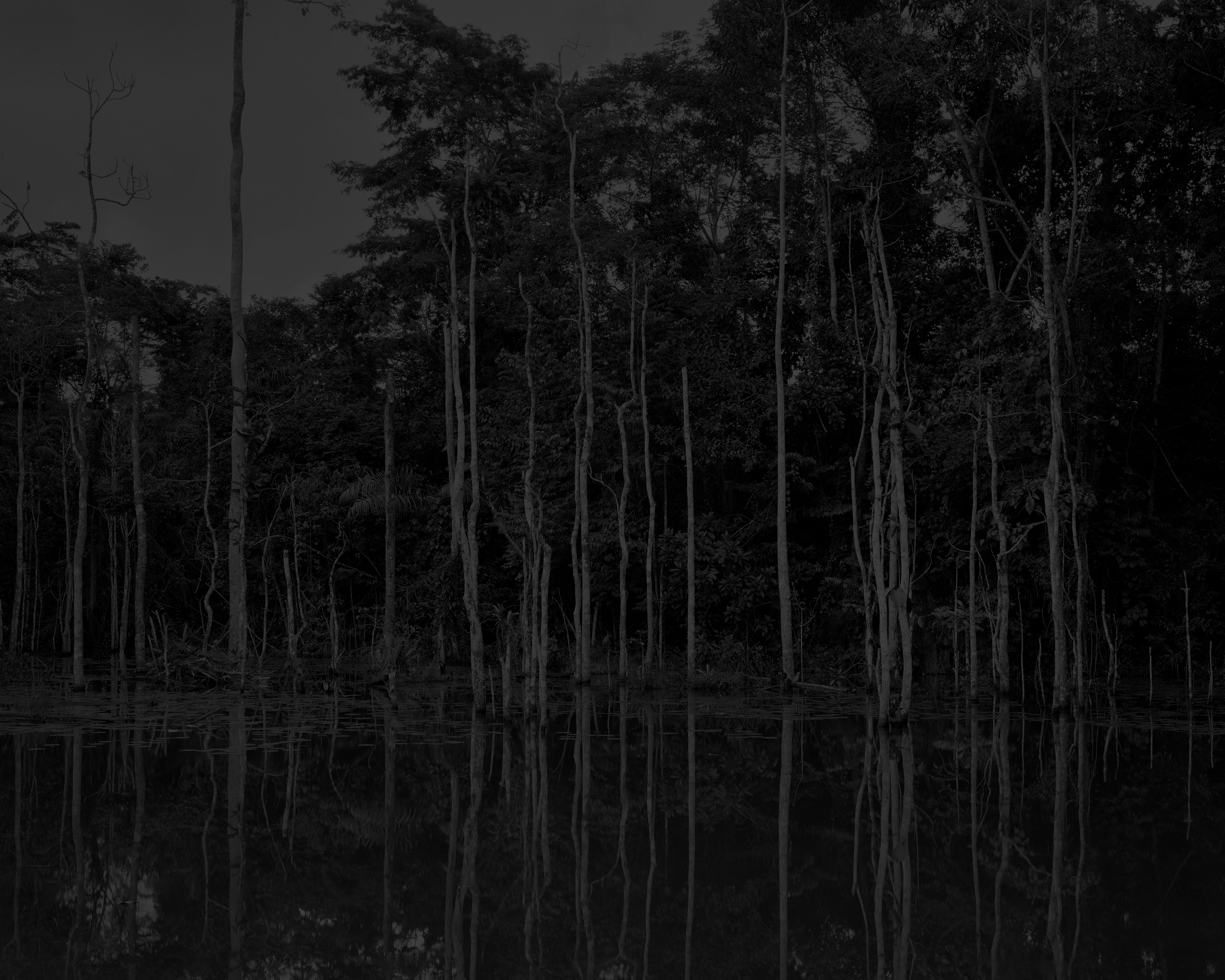 © Elliott Verdier