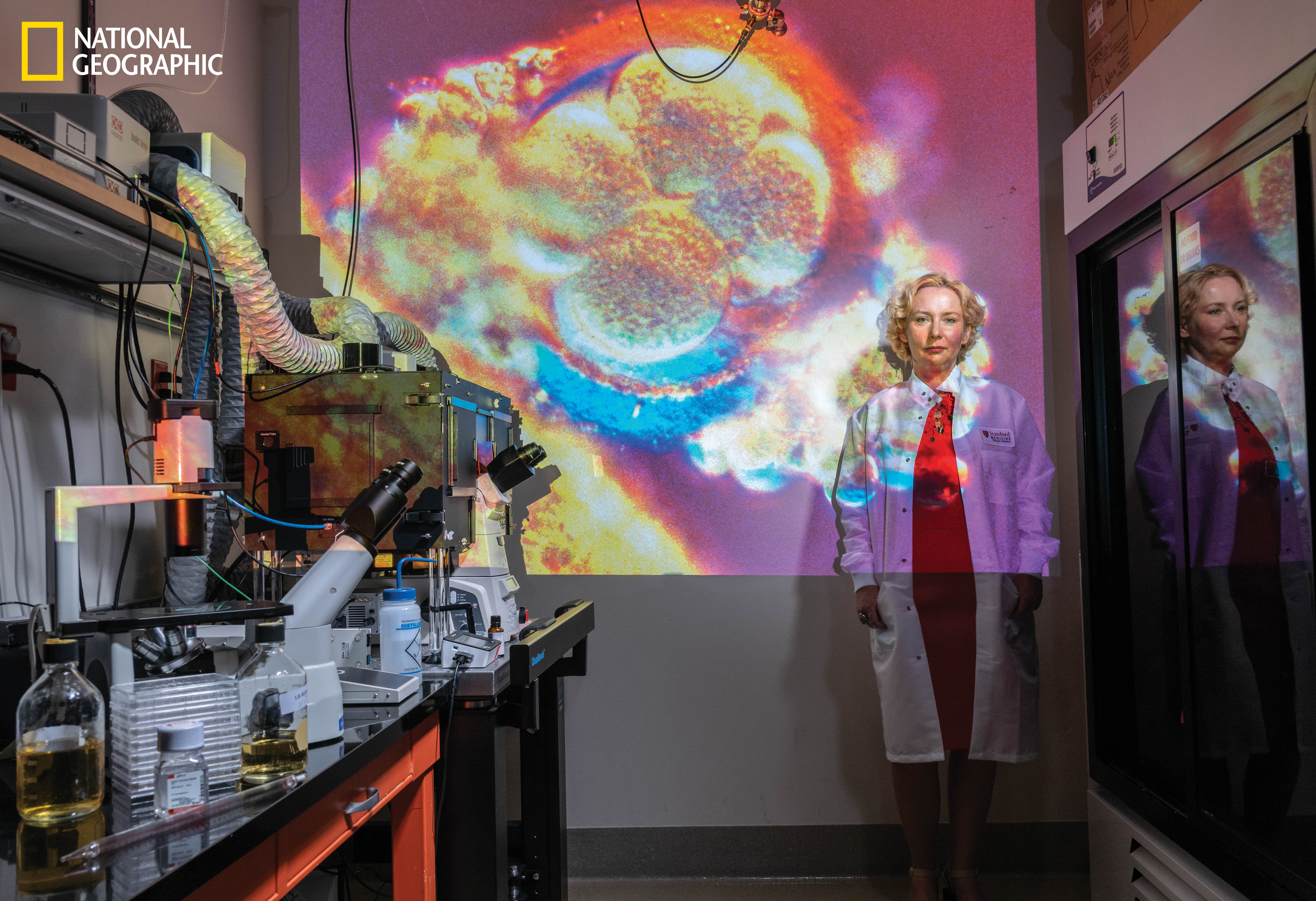 Not all viruses lead to global pandemics. Some have evolved to our benefit. An ancient virus called HERV-K may protect human embryos from other viruses, according to Joanna Wysocka, a professor of both chemical and systems biology and of developmental biology at Stanford University. When an embryo reaches the eight-cell stage (as projected at left), HERV-K is activated and may nudge the cells to build proteins that shield them from infection. It turns off when the embryo implants in the uterus. Ancient viruses make up nearly 8 percent of human DNA, with HERV-K joining an ancestor's genome more than 30 million years ago. Scientists like Wysocka are continuing to untangle how viruses have become a part of us. (Craig Cutler/National Geographic)
