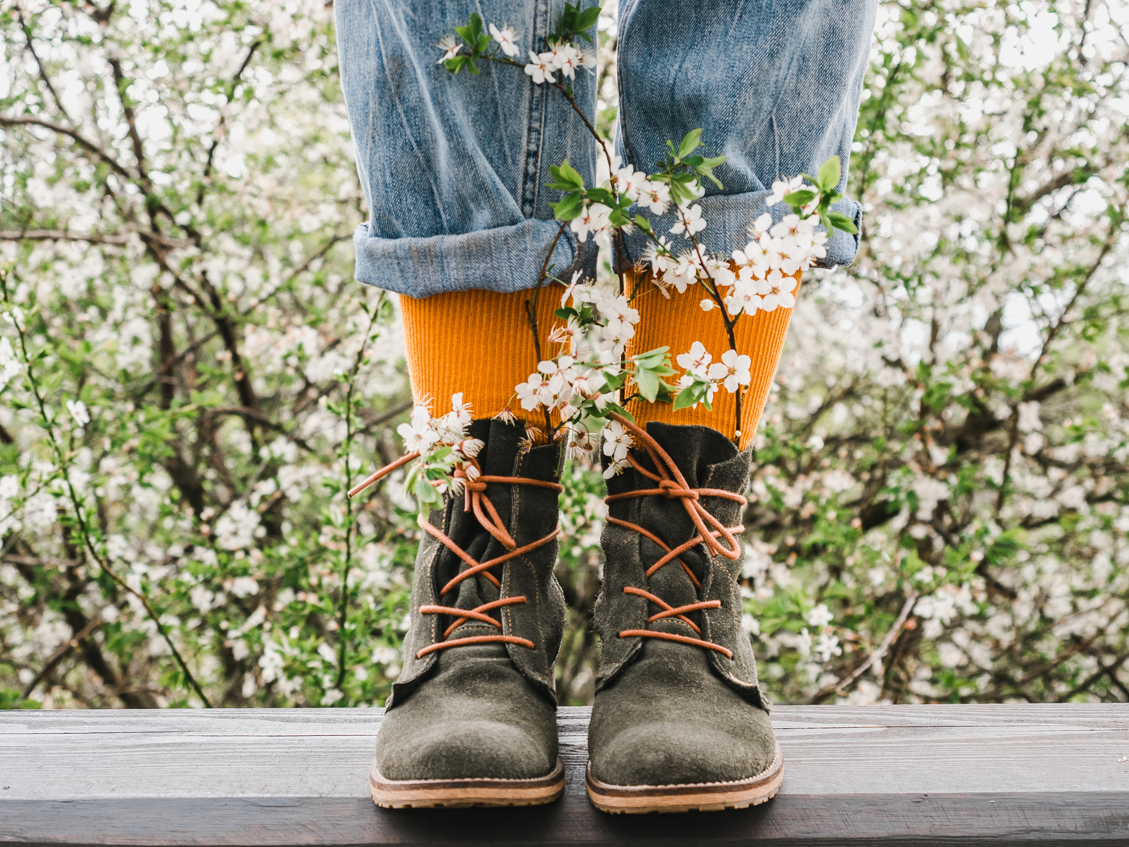 Image licensed via Adobe Stock