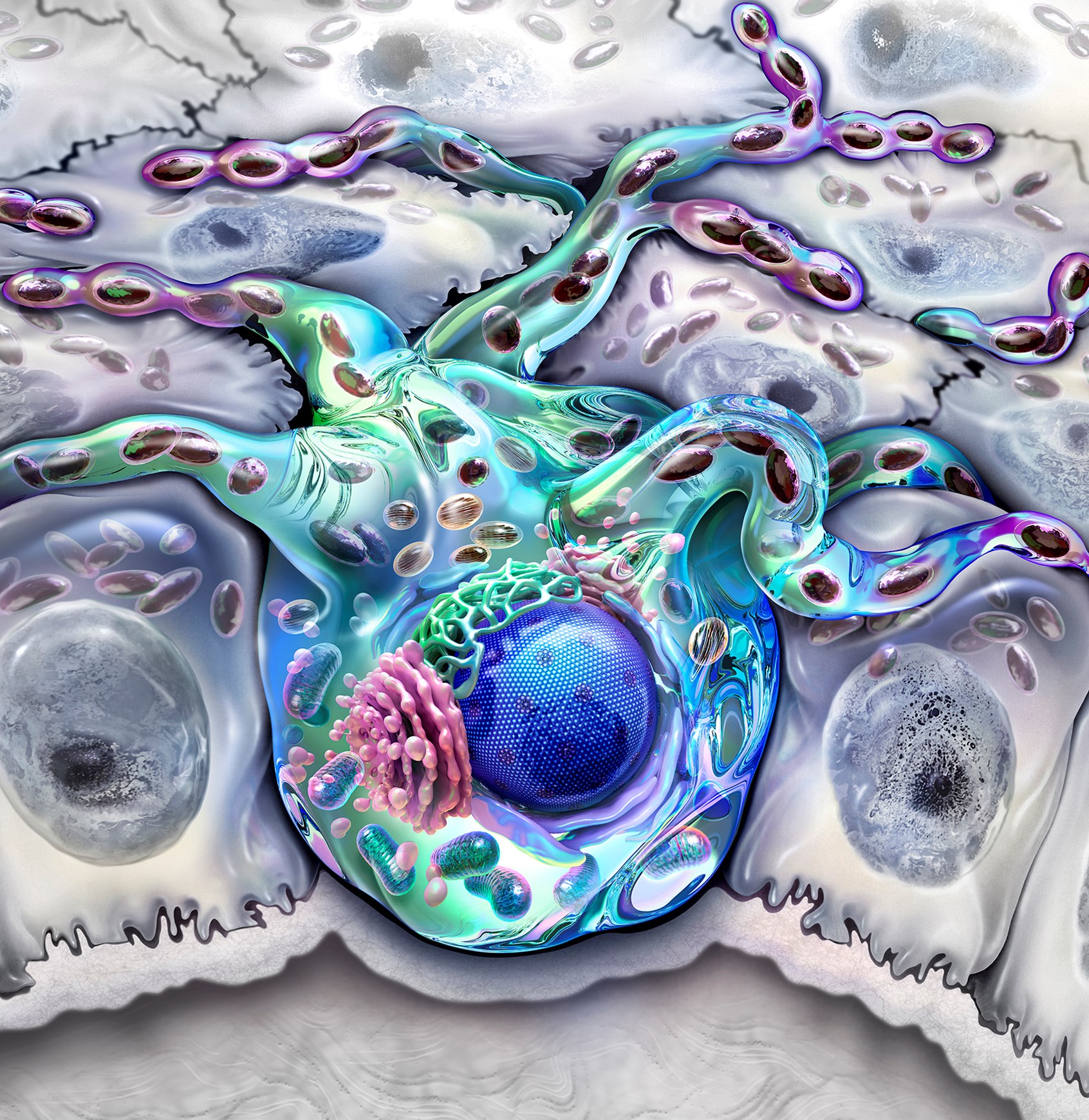 Melanocyte © Audra Geras