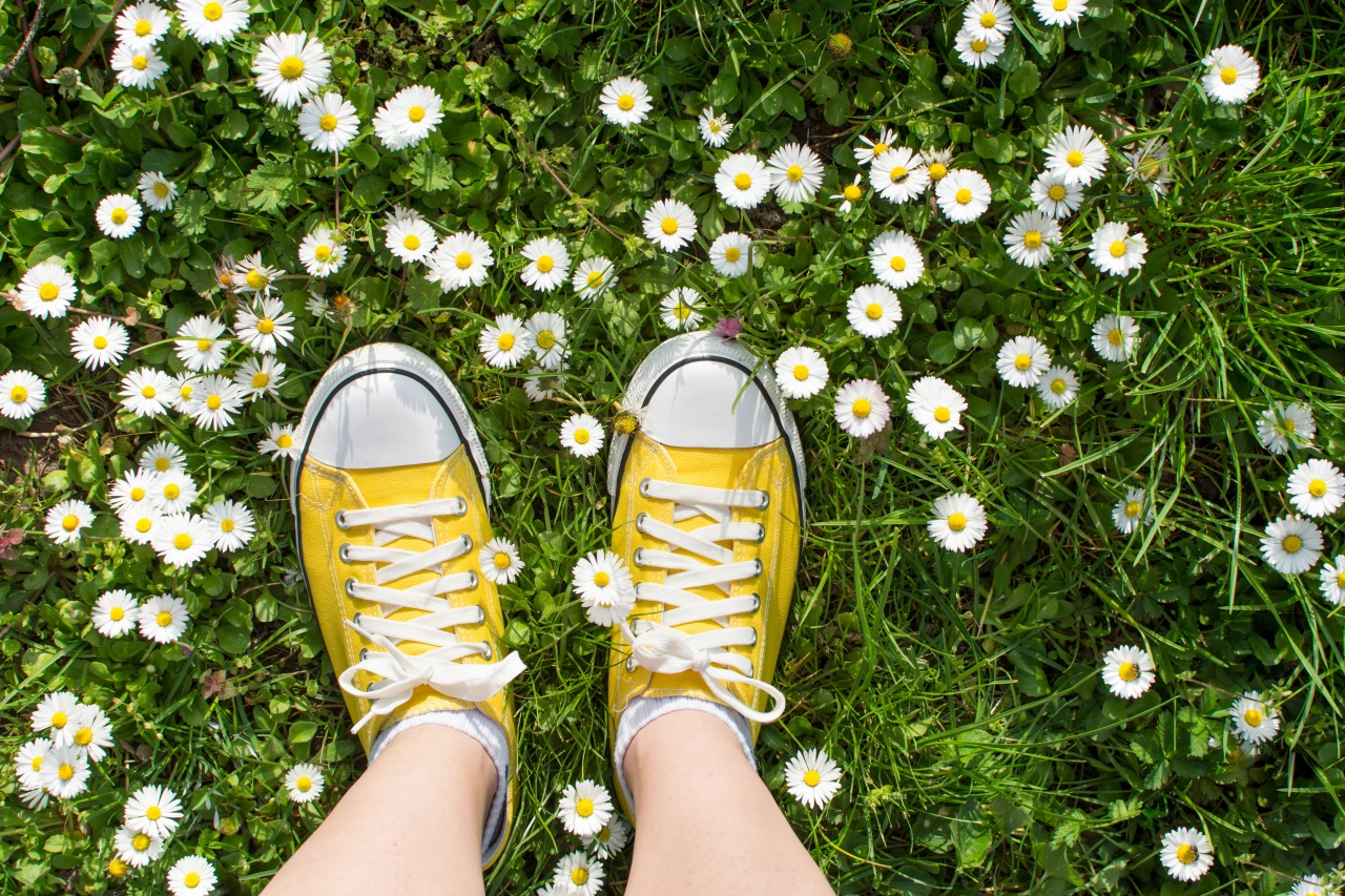 Image licensed via Adobe Stock