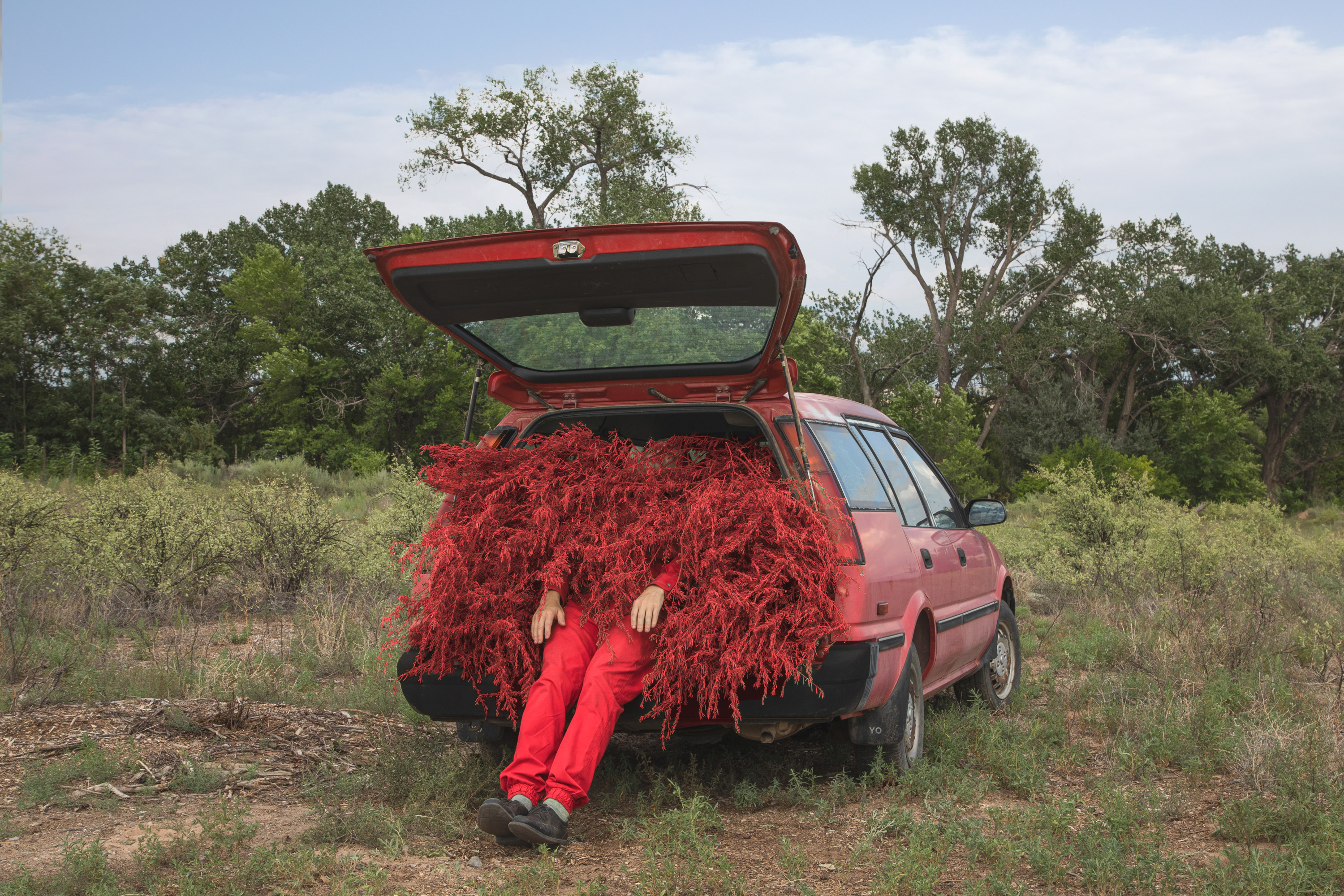 © Ben Zank