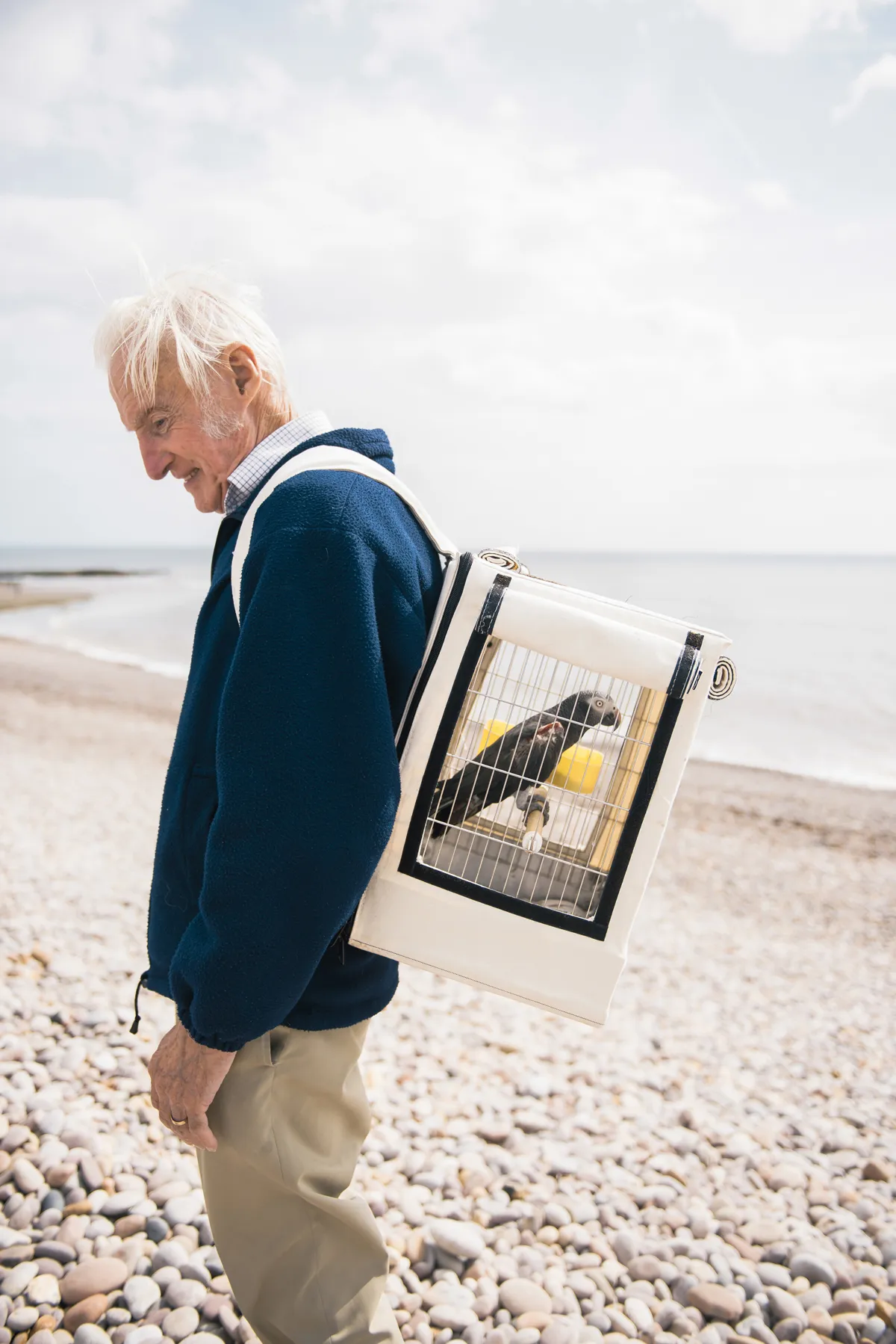 "Roy had an African grey parrot on his back when I saw him on a beach in Devon. He and his wife were on holiday with two of these birds, which they rescued, and their dog. As part of the rehabilitation process, the birds are taken out in cages, giving them access to the open sea air." – Rehabilitating Roy's Parrot © Alexander Flemming