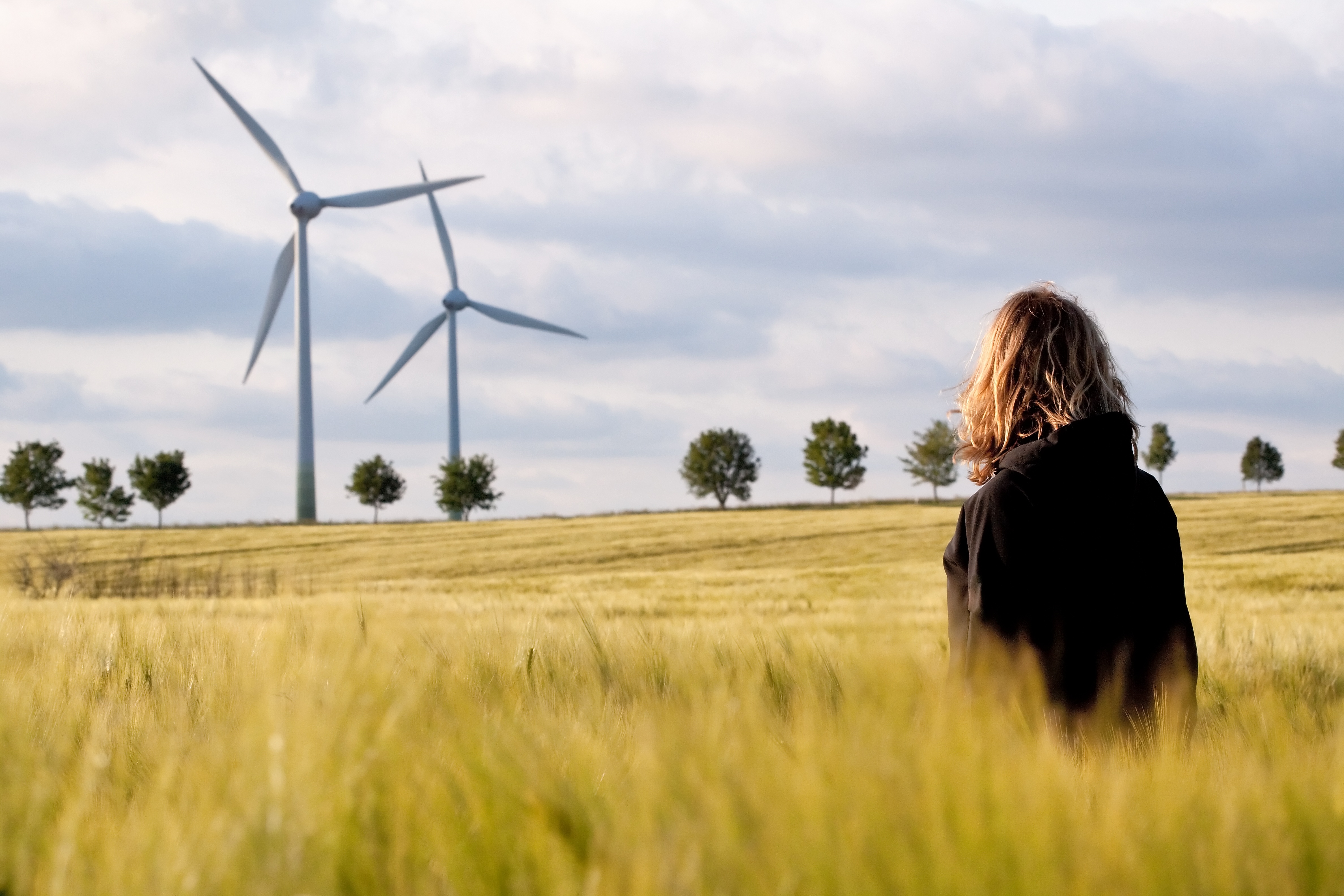 Image licensed via Adobe Stock
