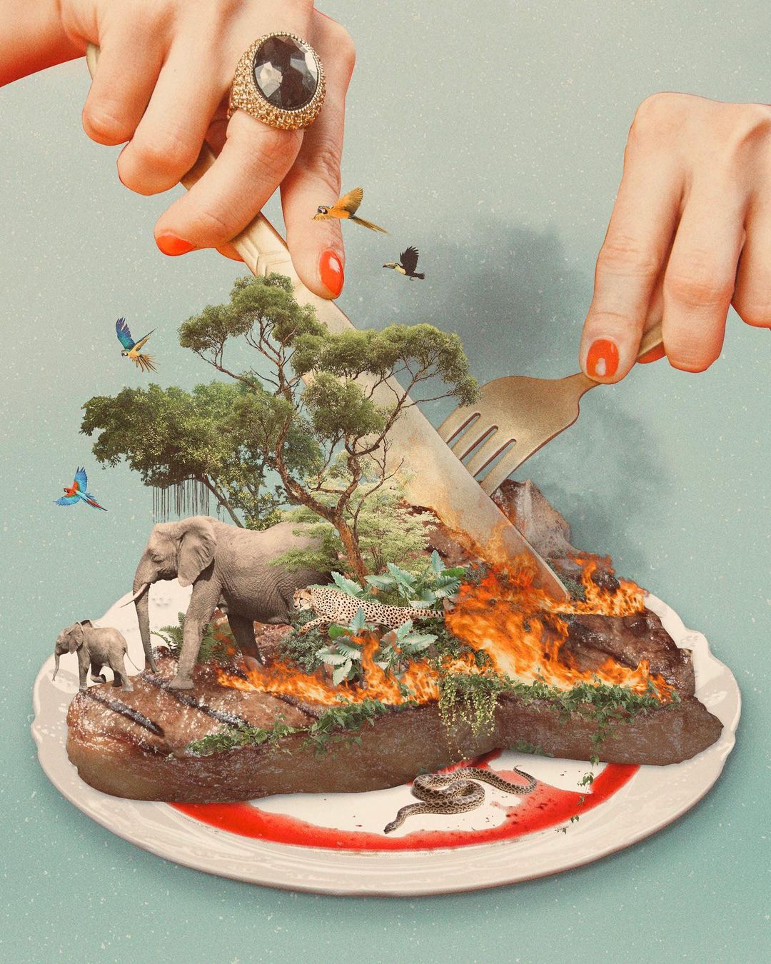 Sara Neuhart – Visual Thoughts on Current Affairs (Editorial)