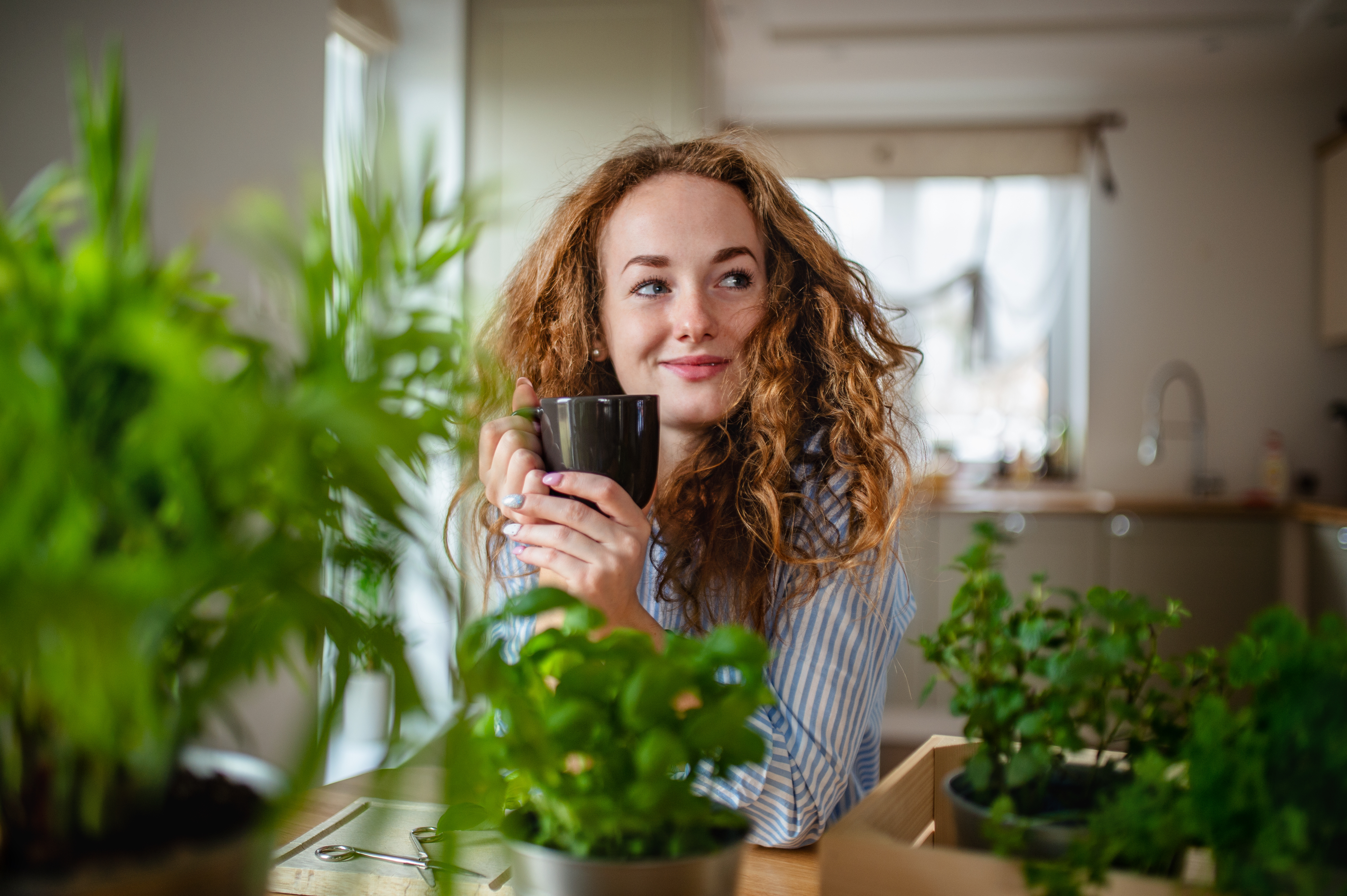 Image licensed via Adobe Stock