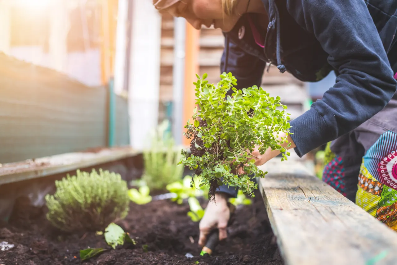 Image licensed via Adobe Stock