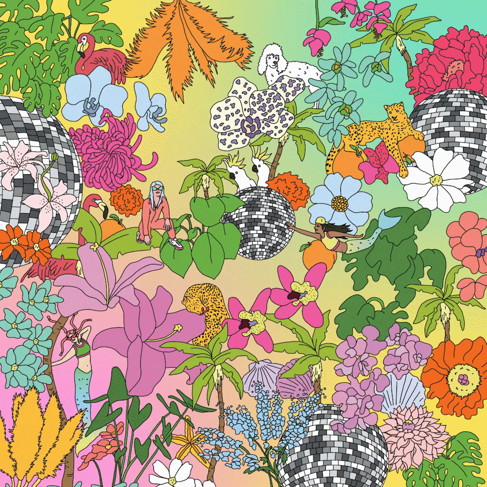 Work by Ana Tortos for Parisian flower brand, Pampa