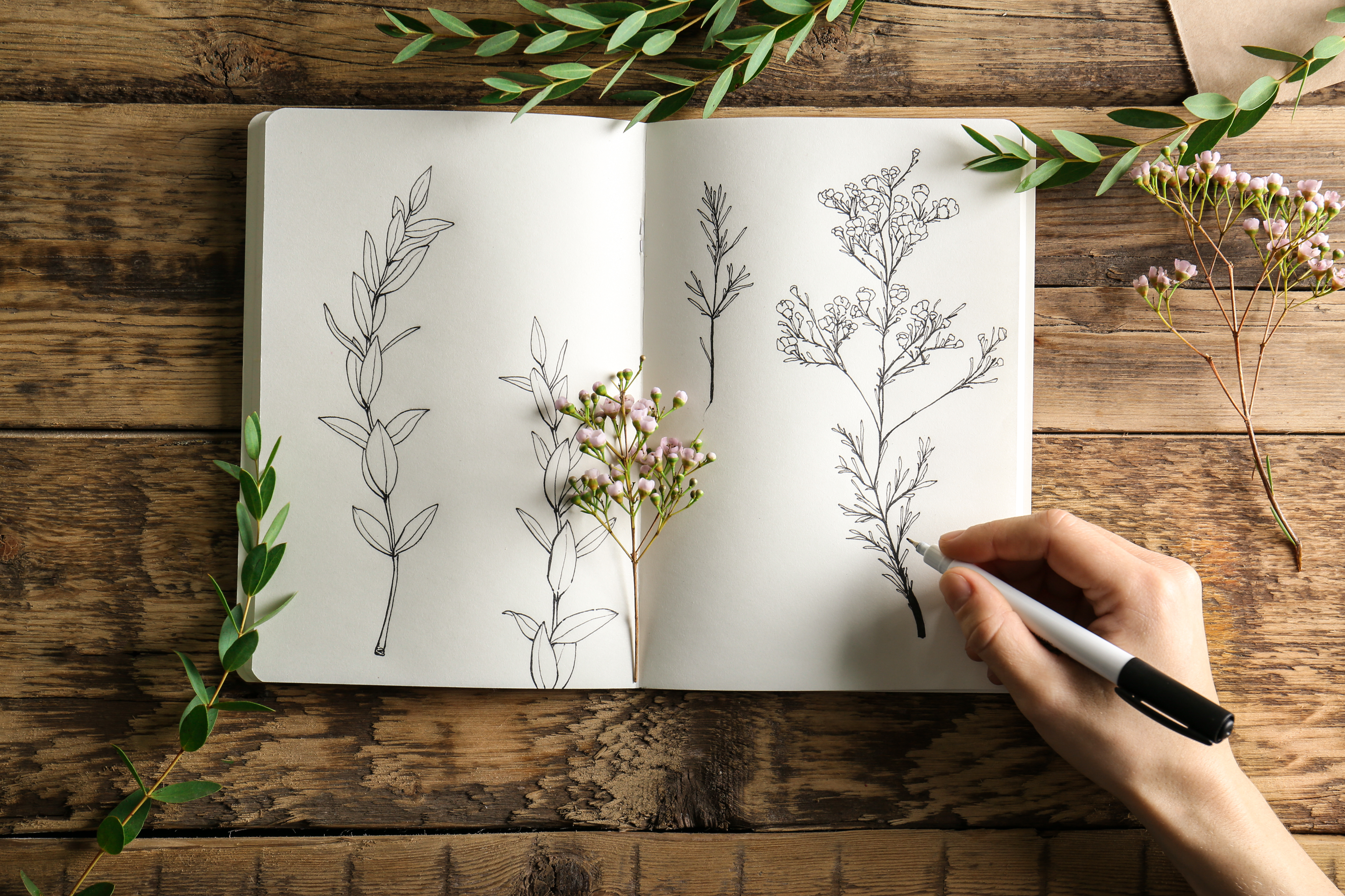 Image licensed via Adobe Stock
