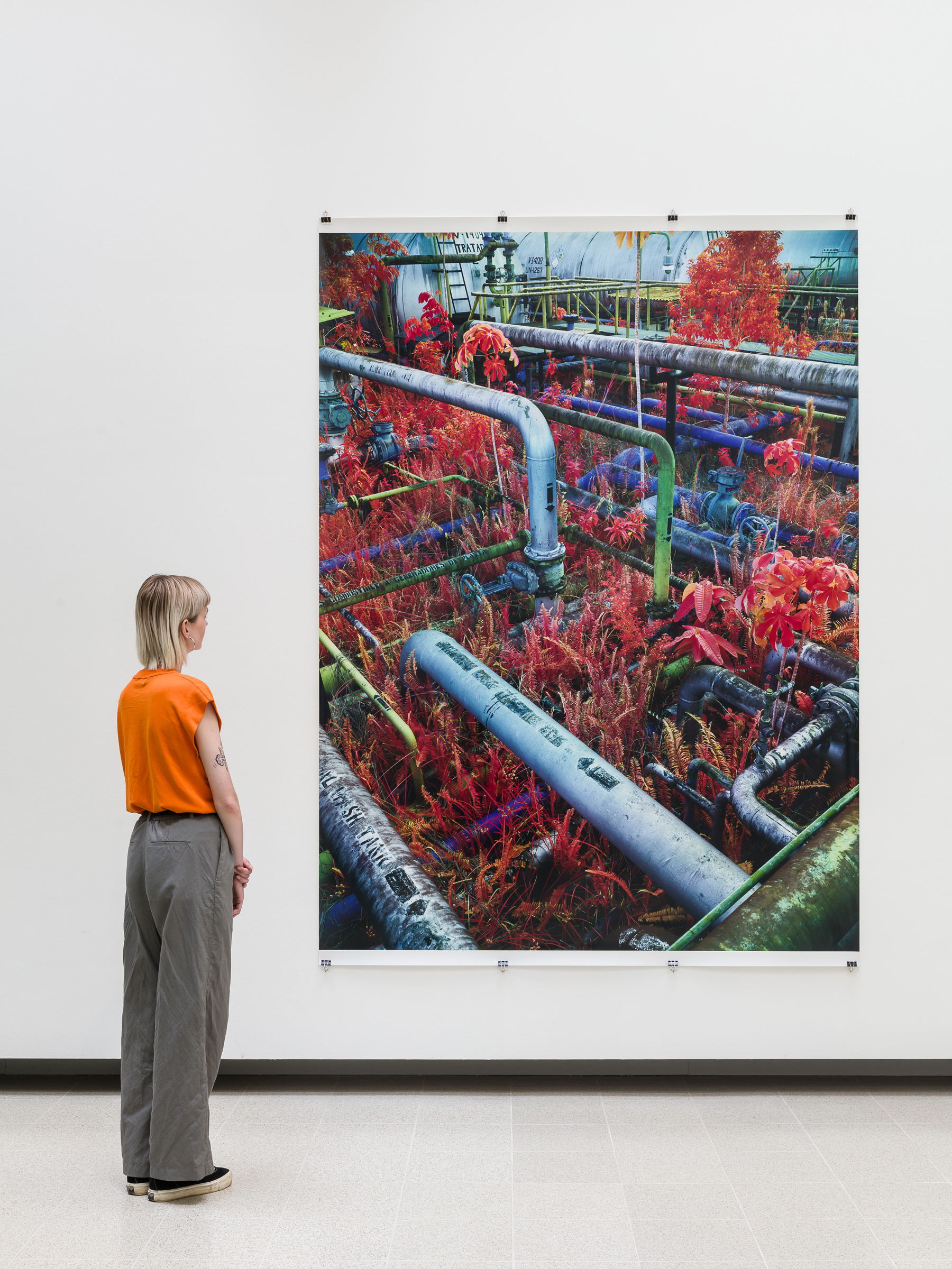 Installation view of Richard Mosse, Dear Earth – Art and Hope in a Time of Crisis. Photo: Mark Blower. Courtesy the Hayward Gallery