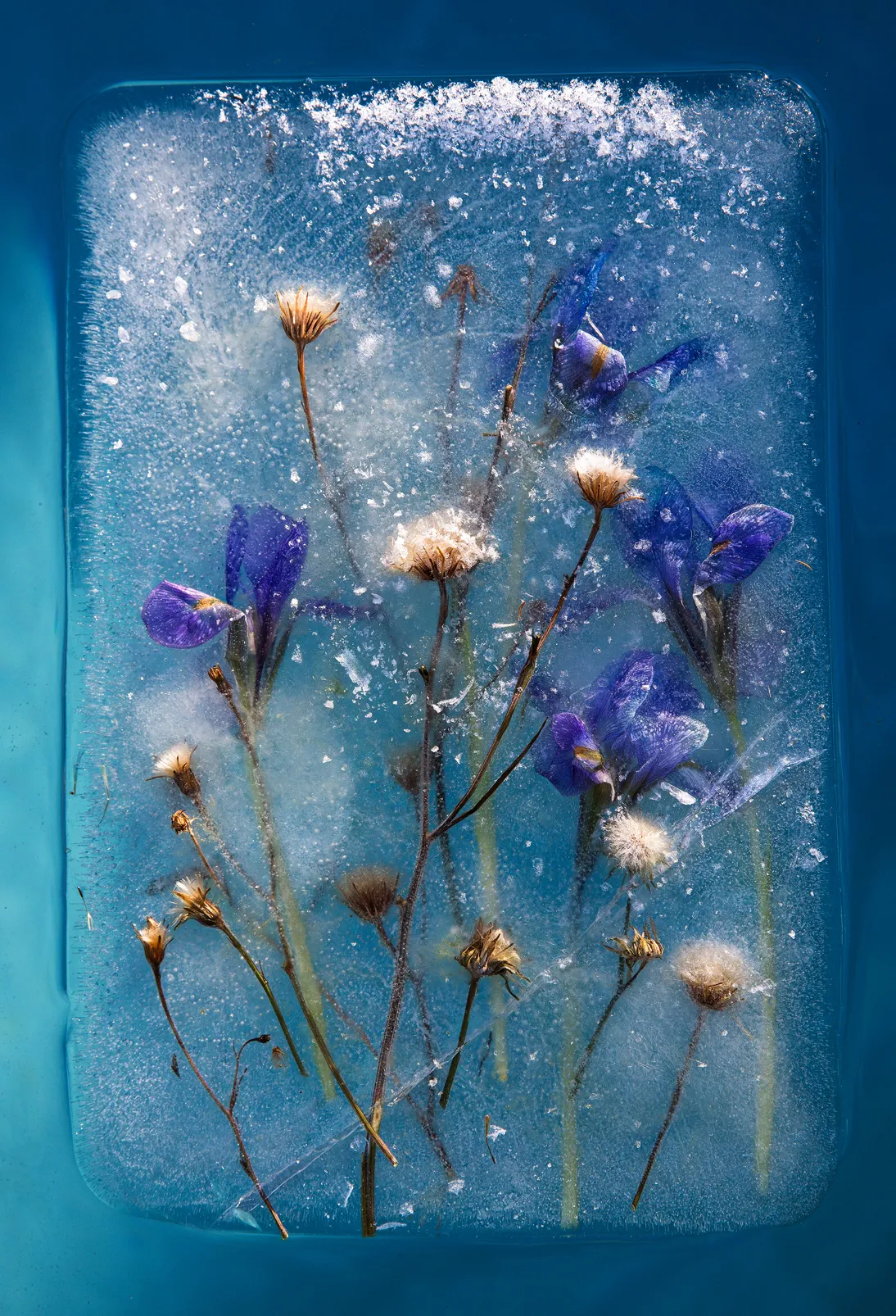 All images courtesy of Zero Degrees. Via Creative Boom submission.