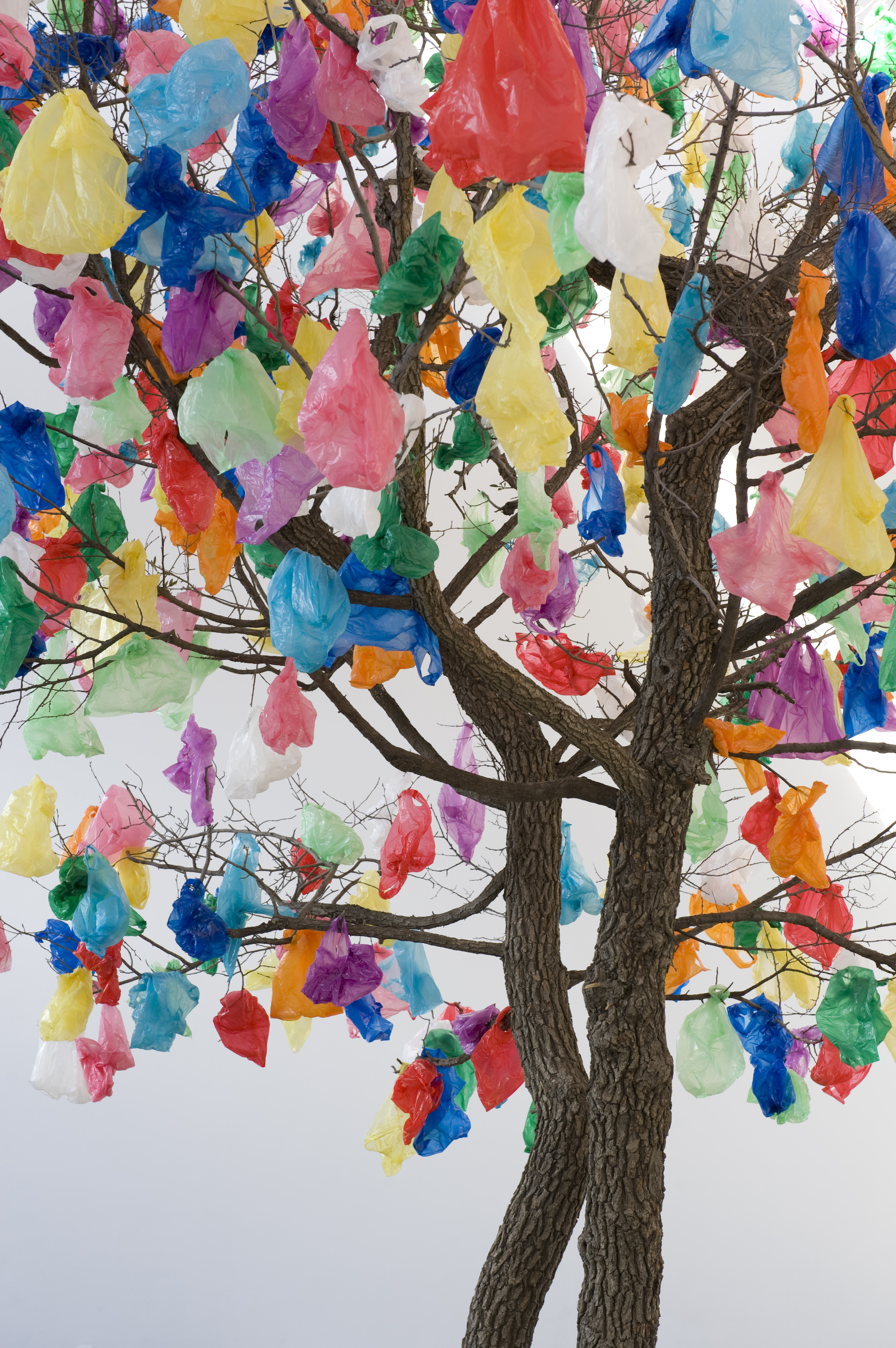 Pascale Marthine Tayou Plastic Tree B, 2010 © the artist 2020  Courtesy the artist and Galleria Continua, San Gimignano / Beijing / Les Moulins / Habana.  Photo: Oak Taylor-Smith
