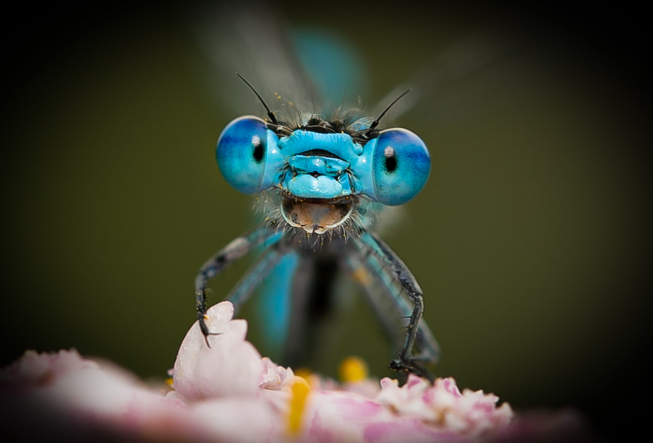 Don't worry, be happy © Axel Bocker