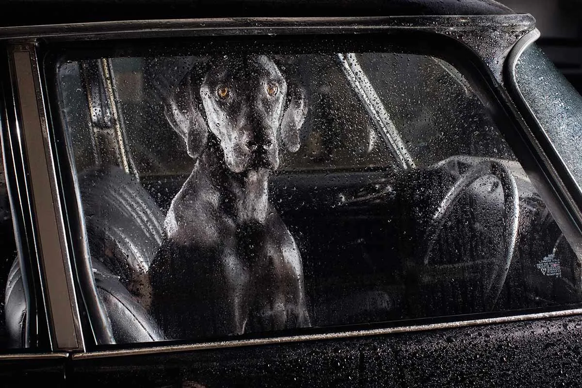 All images courtesy of Martin Usborne. Via Creative Boom submission