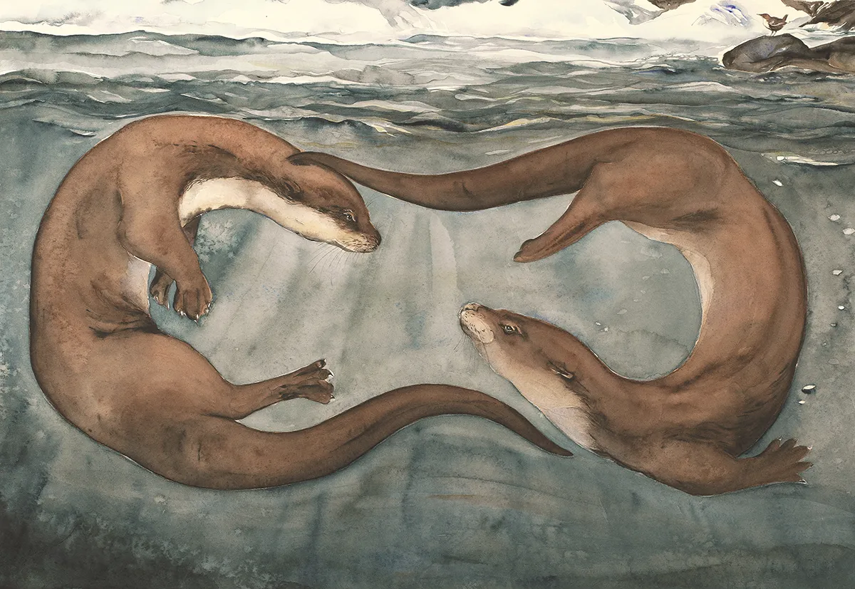Jackie Morris, Otter, 2017 © Jackie Morris