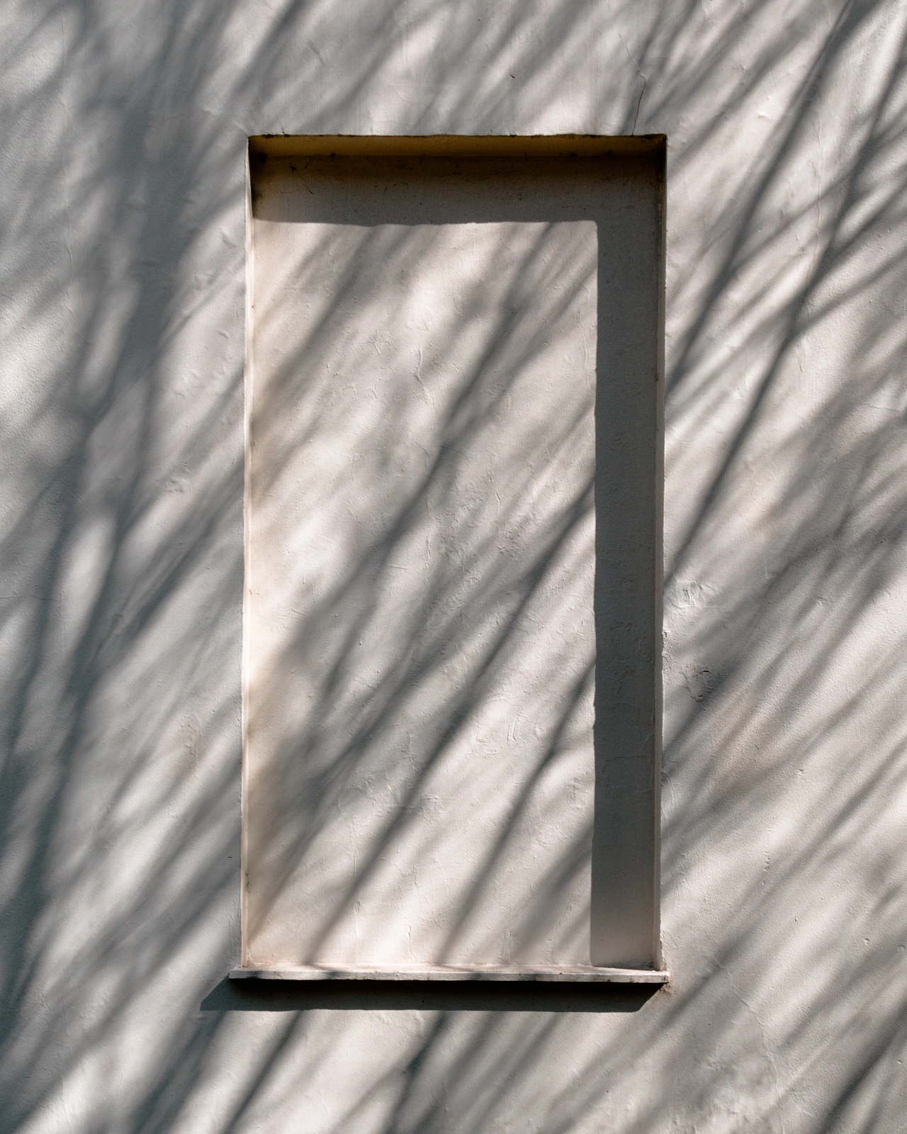 © Andy Billman