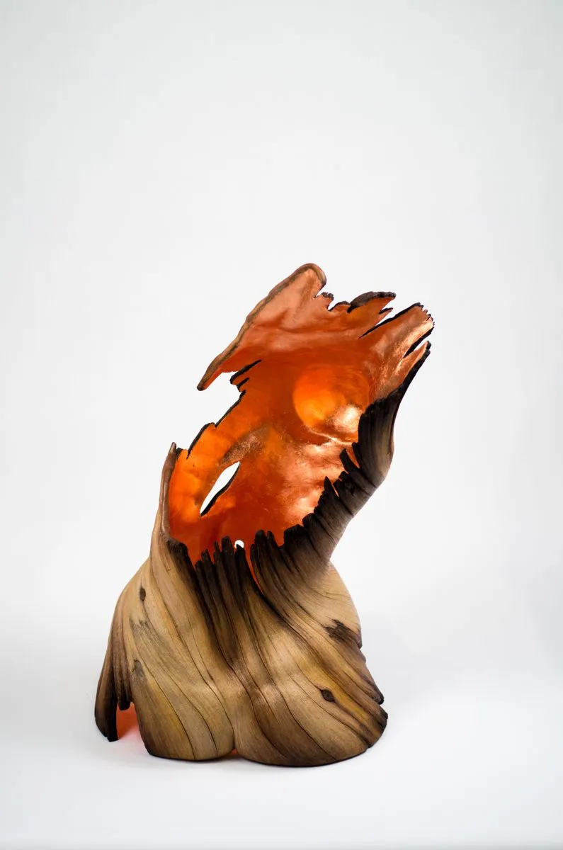 Burning from Within | Christopher David White