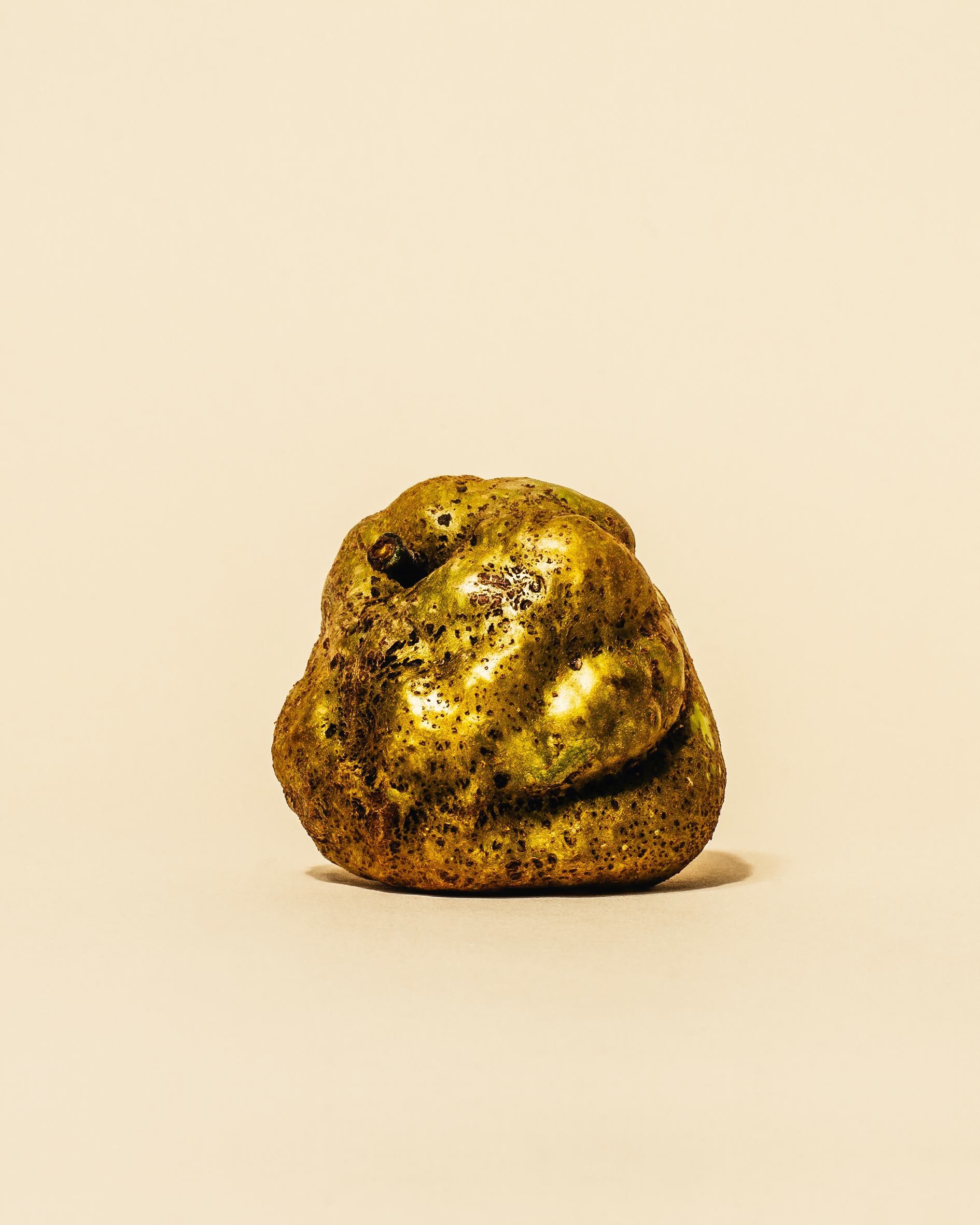 Knobbed Russet © 2021 William Mullan